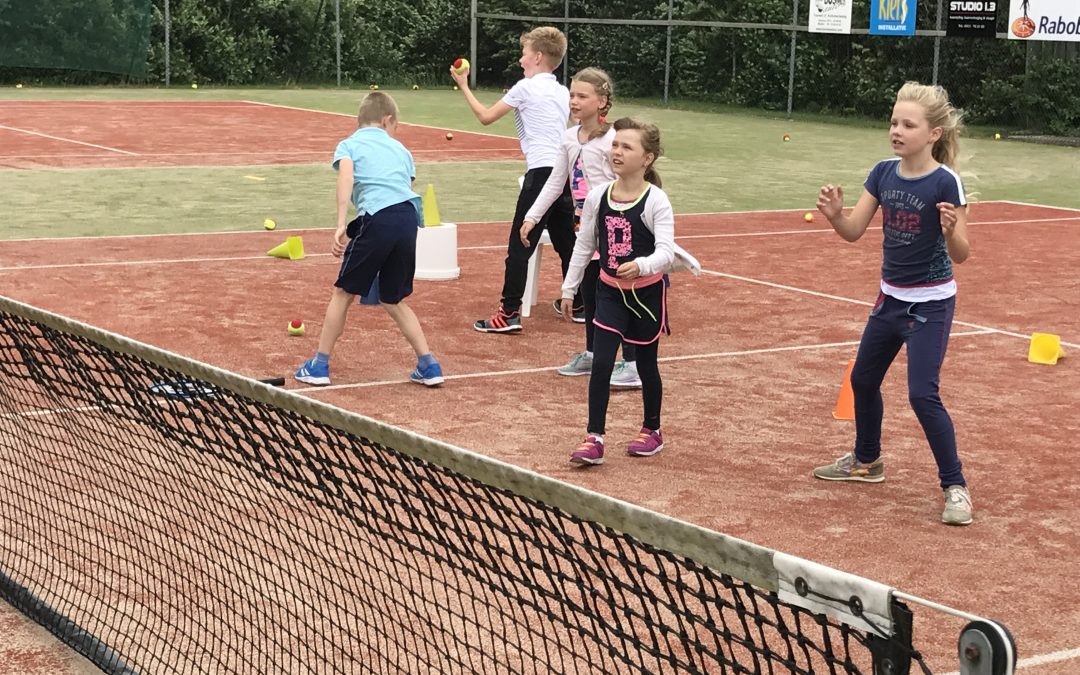 Aanmelden Najaarslessen 2017 TC Zwaagwesteinde